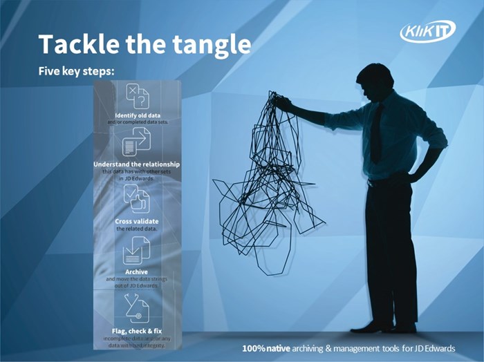 Tackle the JD Edwards Data Tangle. The story of your JD Edwards data.